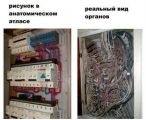 https://rzia.ru/uploads/images/8857/b0ef03070f195e99e2893b65ff4d9ca5.jpg